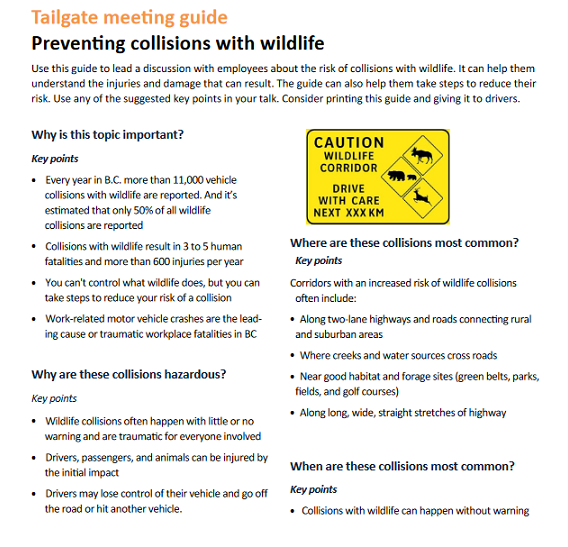 Tailgate meeting guide: Preventing collisions with wildlife